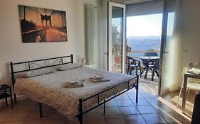 Villa Belvedere_Studio Flat